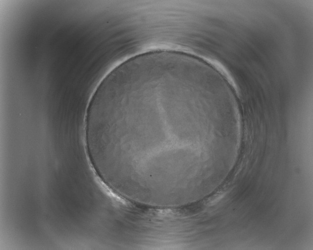 X0000071830903200606301315