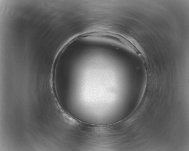 X0000071830904200606301315