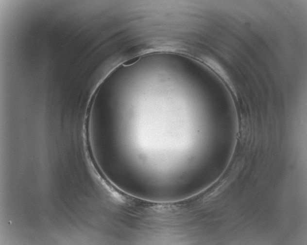 X0000071830906200606301315