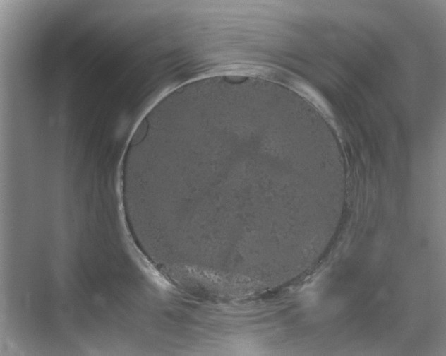 X0000071830907200606301315