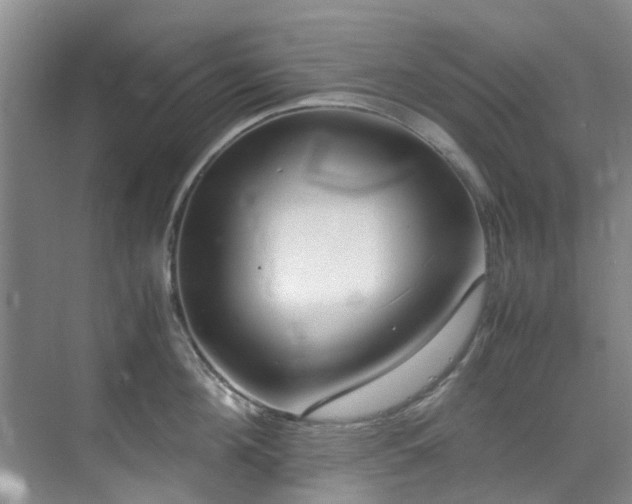 X0000071830908200606301315