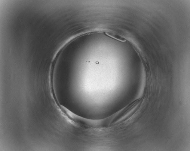 X0000071830910200606301315