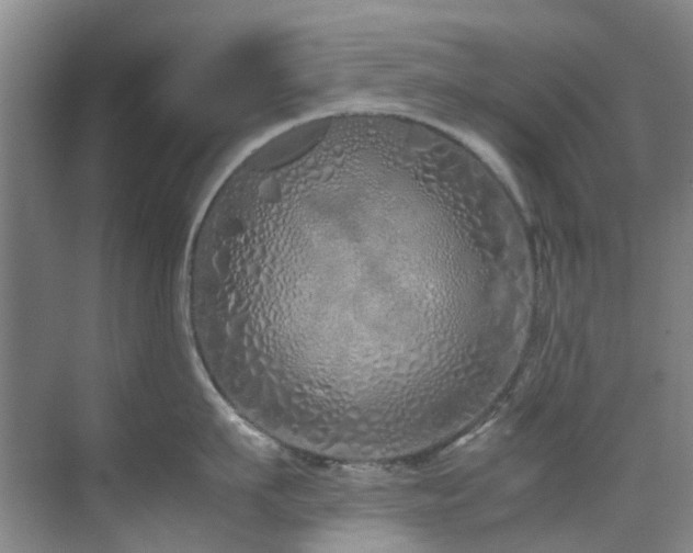 X0000071830911200606301315