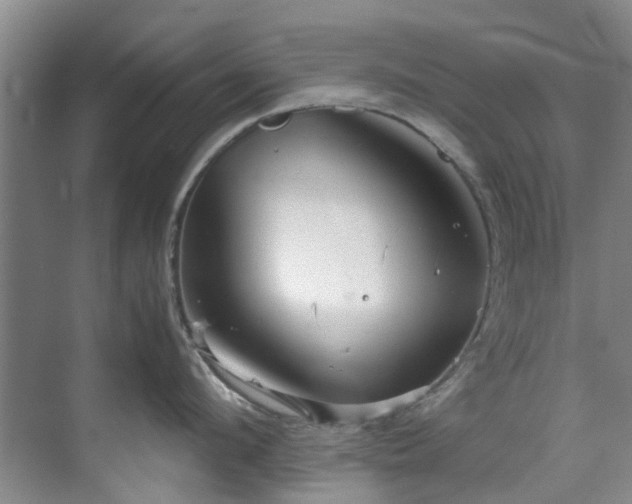 X0000071830912200606301315