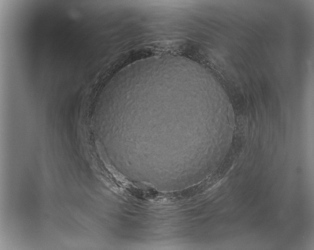 X0000071830913200606301314