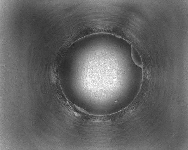 X0000071830915200606301315