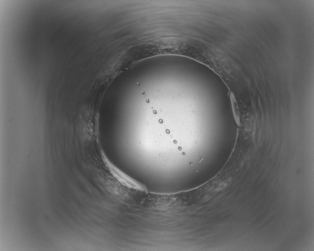 X0000071830916200606301315