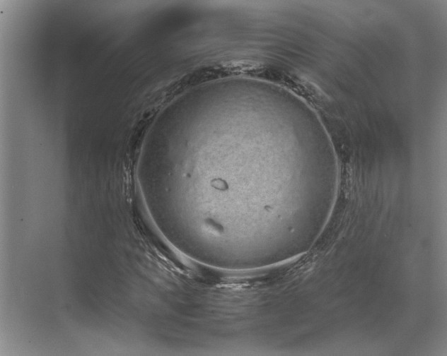 X0000071830917200606301315