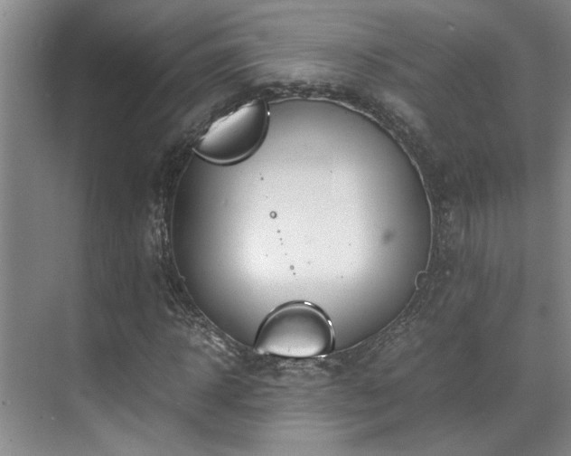 X0000071830918200606301315