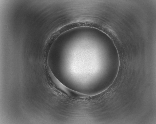 X0000071830920200606301315