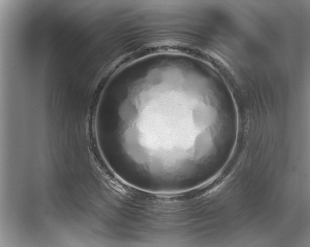 X0000071830921200606301315