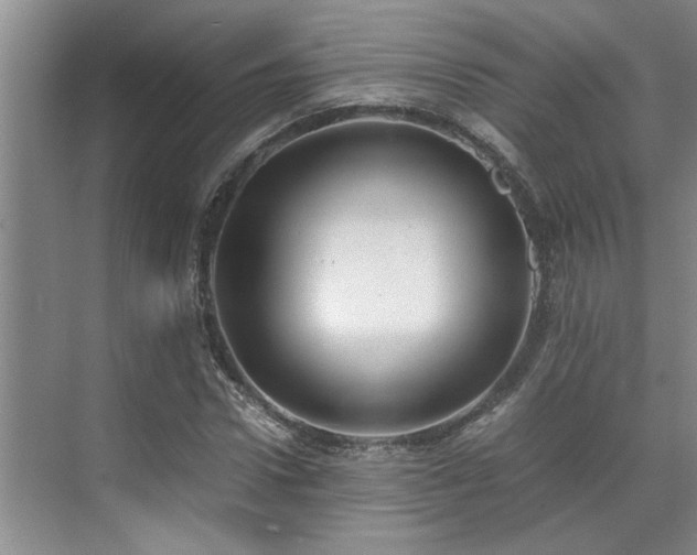 X0000071830922200606301315