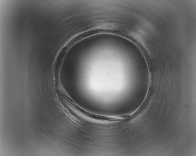 X0000071830923200606301315