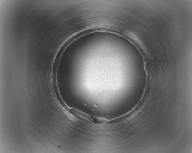 X0000071830924200606301315