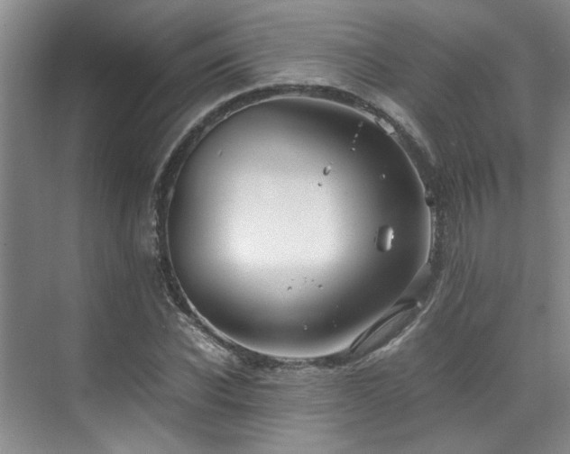 X0000071830926200606301315