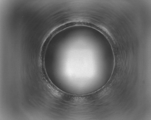 X0000071830927200606301315