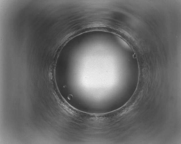 X0000071830929200606301315