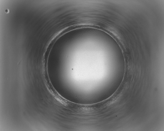 X0000071830933200606301315