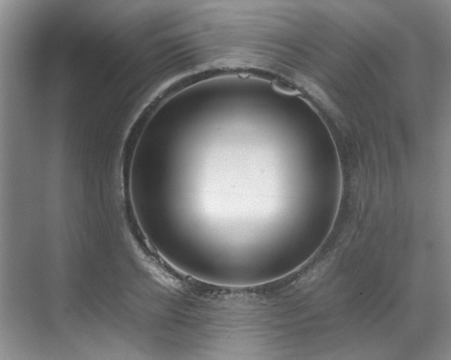 X0000071830934200606301315