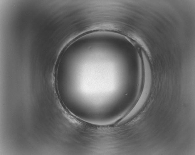 X0000071830944200606301315