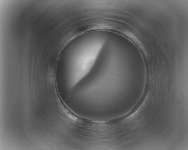 X0000071830945200606301315