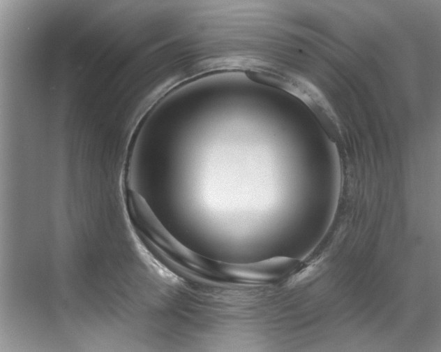 X0000071830946200606301315