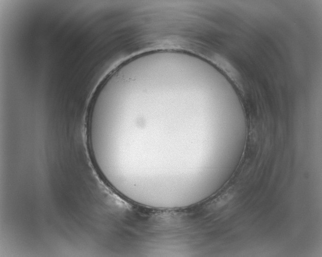 X0000071830950200606301315