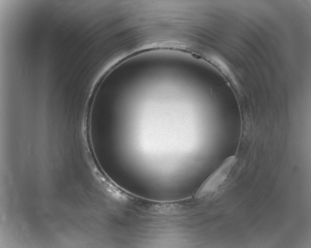 X0000071830952200606301315