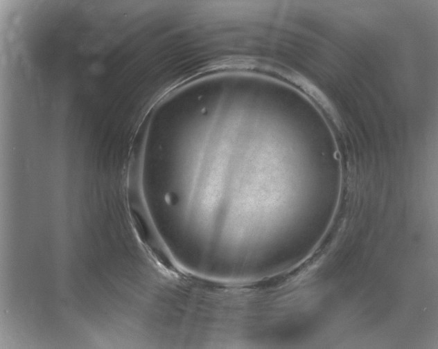 X0000071830953200606301315