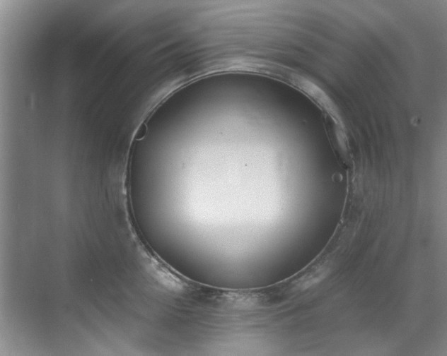 X0000071830954200606301315