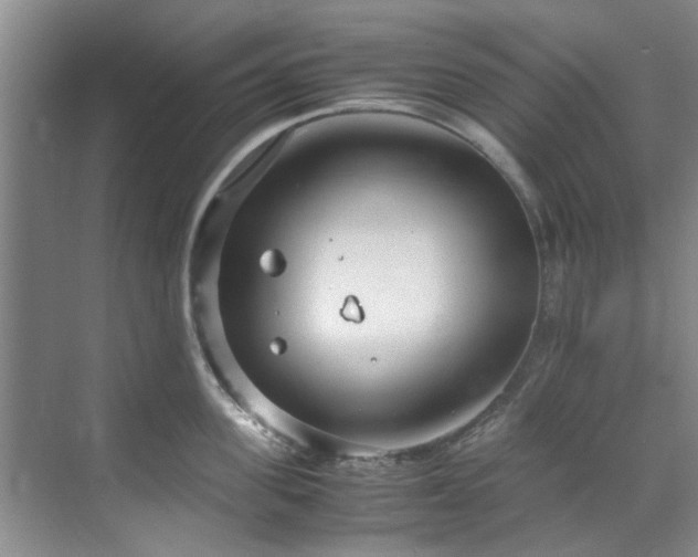 X0000071830955200606301315