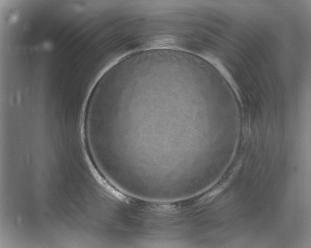 X0000071830957200606301315