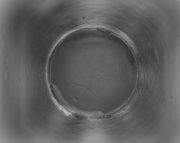 X0000071830958200606301315