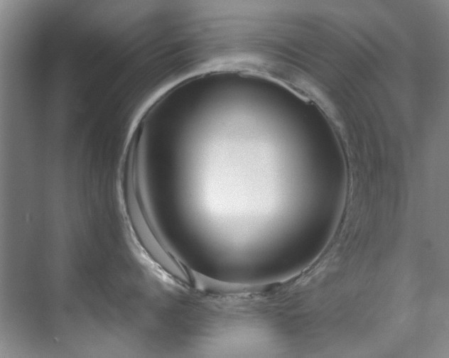 X0000071830960200606301315