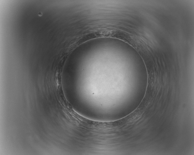 X0000071830962200606301314