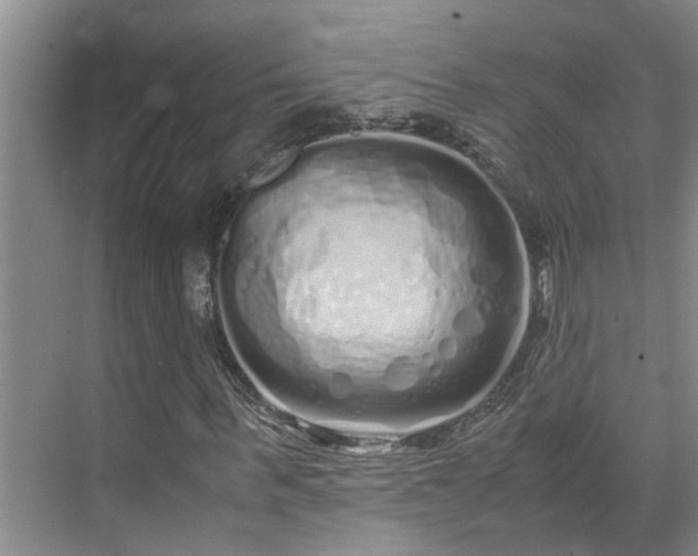 X0000071830963200606301314