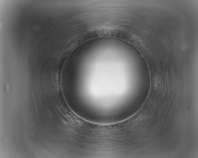 X0000071830964200606301314