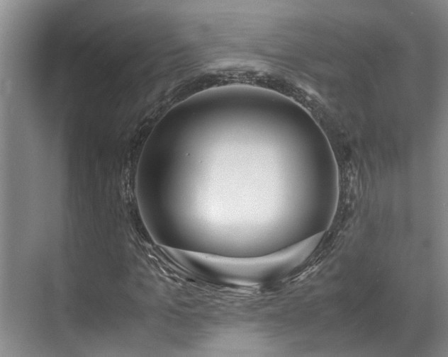 X0000071830965200606301314