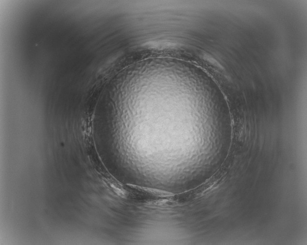 X0000071830966200606301314