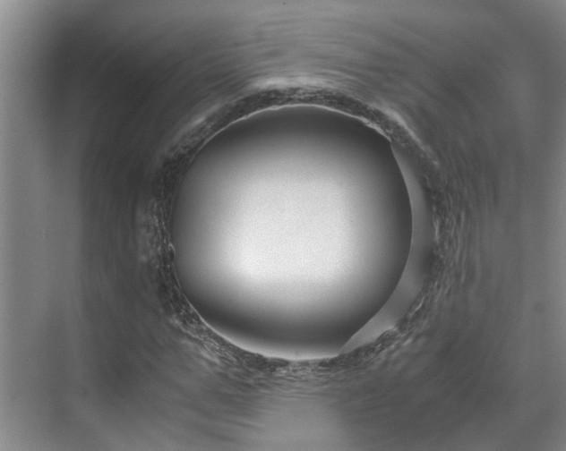 X0000071830967200606301314