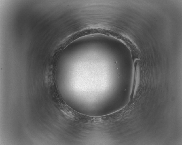 X0000071830968200606301314