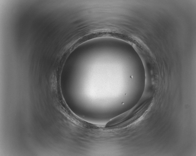 X0000071830969200606301314