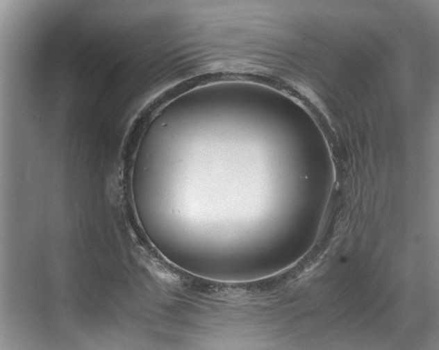 X0000071830971200606301314