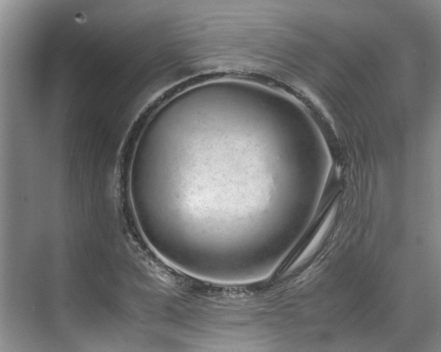 X0000071830975200606301314