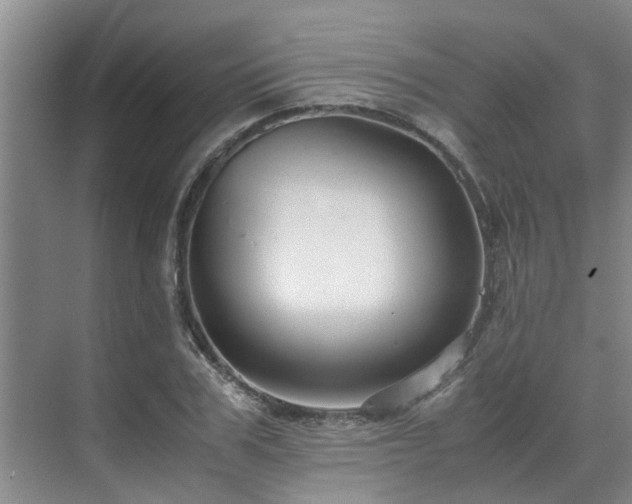 X0000071830979200606301314