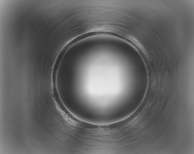 X0000071830980200606301314