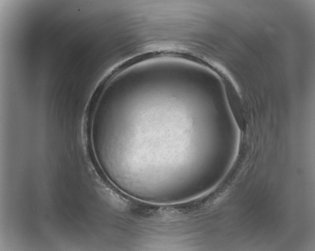 X0000071830983200606301314