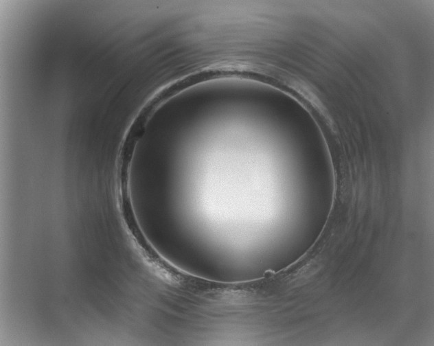 X0000071830984200606301314