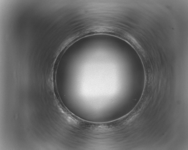 X0000071830986200606301314