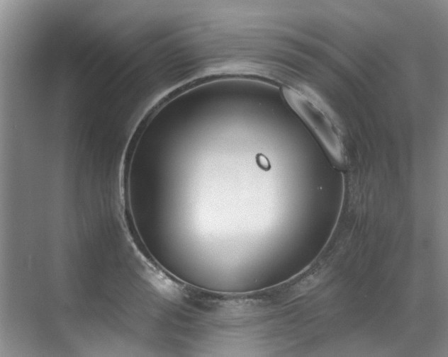 X0000071830988200606301314